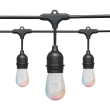 Starfish 24' Long 10 Light LED String Lights with Quad Pin S14 Bulbs