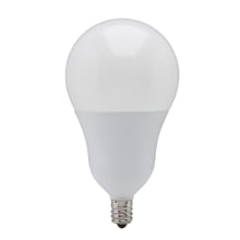Single 6 Watt Dimmable A19 Candelabra (E12) LED Bulb - 480 Lumens and 3000K