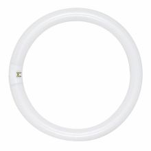 Single 22 Watt White T9 Shaped 4-Pin (G10q) Fluorescent Bulb