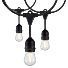 288" Long 12 Light Clear 12W LED String Light with s14 Bulbs and Black Cord - 2200K