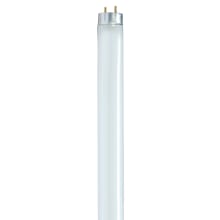 Single 17 Watt 24" Wide T8 Bi Pin Fluorescent Bulb - 2,400 Lumens and 3500K