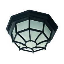 Functional 1 Light Outdoor Ceiling Fixture from the Exterior Collection