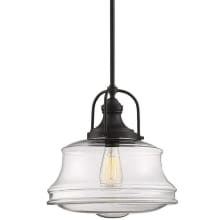 Garvey Single Light 14" Wide Pendant