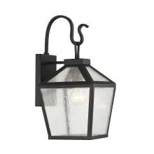 Woodstock Single Light 17" Tall Outdoor Wall Sconce with a Glass Shade