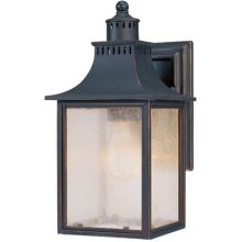 Monte Grande 1 Light 11.5" Tall Outdoor Wall Sconce