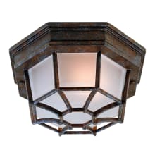Exterior Collections Single Light 9" Wide Outdoor Flush Mount Ceiling Fixture