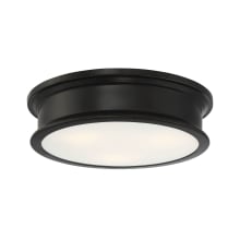 Watkins 3 Light 16" Wide Flush Mount Drum Ceiling Fixture