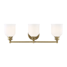 Melrose 3 Light 24" Wide Bathroom Vanity Light