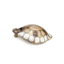 Nature 3-1/2" Designer Turtle Solid Brass Cabinet Drop Pull with Shell Inlays