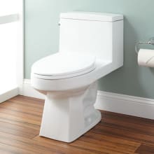 Burnside 1.28 GPF Siphonic One Piece Elongated Toilet - Seat Included