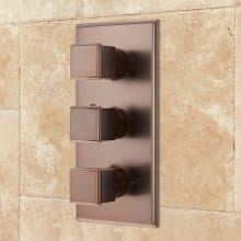 Ryle 4-Way Thermostatic Valve with Square Knob Handles - Rough-In Valve Included