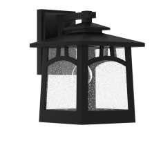 Carytown Single Light 14" Tall Outdoor Wall Sconce