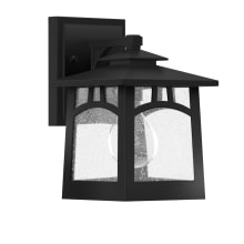 Carytown Single Light 9" Tall Outdoor Wall Sconce