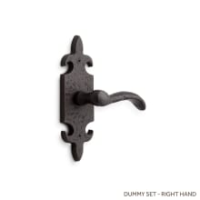 Cousteau Right Hand Solid Bronze Single Dummy Door Lever