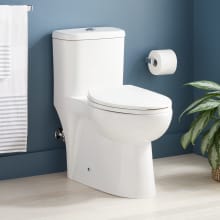 Alledonia 1.28 GPF One Piece Elongated Chair Height Toilet - Seat Included