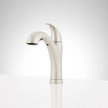 Cypress 1.8 GPM Single Hole Pull Out Kitchen Faucet