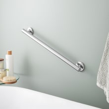 Contemporary 24" Grab Bar