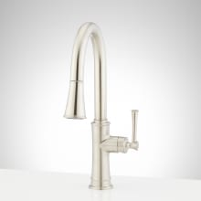 Beasley 1.8 GPM Pull-Down Kitchen Faucet