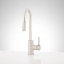 Ravenel 1.75 GPM Single Hole Pull Down Kitchen Faucet