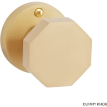 Ambrus Reversible Solid Brass Single Dummy Door Knob
