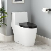Sitka 1.28 GPF One Piece Elongated Toilet - Seat Included, ADA Compliant
