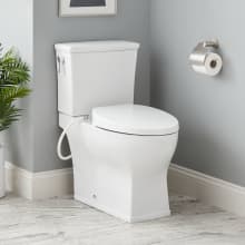 Carraway 1.28 GPF Two Piece Elongated Toilet - Bidet Seat Included, ADA Compliant