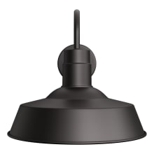 Wetherburn 13" Tall Outdoor Wall Sconce