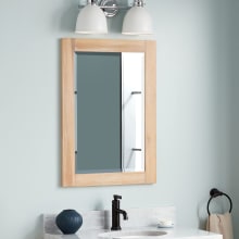 Fallbrook 31-1/2" x 22-1/8" Framed Bathroom Mirror