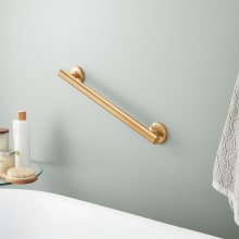 Contemporary 18" Grab Bar