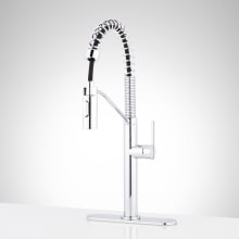 Eiler 1.8 GPM Single Handle Deck Mounted Pre-Rinse Pull Down Kitchen Faucet with Deck Plate