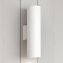 Hedgeway 16" Tall LED Wall Sconce