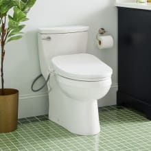 Brinstead 1.28 GPF One Piece Elongated Toilet - Bidet Seat Included