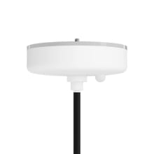 Carina Smart SkyPlug Smart Lighting Canopy Kit