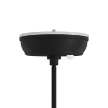 Capella Smart SkyPlug Smart Lighting Canopy Kit