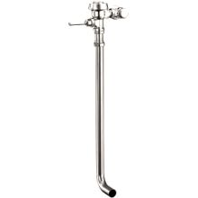 Exposed, Sensor Activated Royal Model Water Closet Flushometer, for back inlet squat toilets. Water Saver 3.5 GPF
