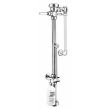 Royal Slimline Bedpan Washer Water Closet Flushometer with Deoseptic Unit