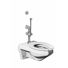 Concealed Royal Slimline Bedpan Washer 3.5 GPF Water Closet Flushometer with Water Saver