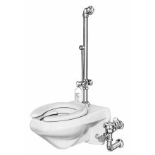Royal Slimline Bedpan Washer 3.5 GPF Water Closet Foot Pedal Flushometer with Deoseptic Unit and Water Saver