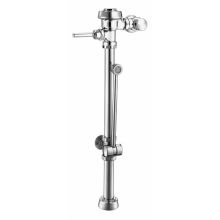 Royal Slimline Bedpan Washer Water Closet Flushometer