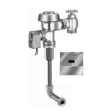 Royal .125 GPF ADA Flushometer with 3/4" Rear Spud Placement