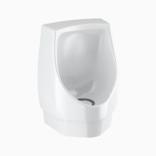 Waterfree Urinal with Automatic Drain Rinse