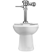 Dual Flush 1.6 / 1.1 GPF One Piece Elongated ADA Height Toilet with Wes Flushometer less Seat