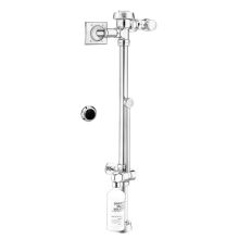 Royal 3.5 GPF ADA Compliant Bedpan Washer Water Closet Hydraulic Flushometer with 1" I.P.S. Outlet - For Floor Mounted or Wall Hung Top Spud Bowls