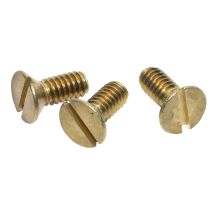 Manufacturer Replacement Screw