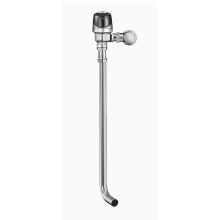 Optima Plus Exposed, Battery Powered, Sensor Operated Flushometer for Back Inlet Squat Toilets