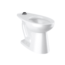 Efficiency Elongated ADA Height Toilet - Less Flushometer and Seat