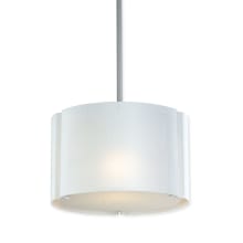 Contemporary / Modern Single Light Down Lighting Pendant From the Oscuro Collection