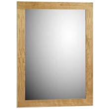 Simplicity 24" W x 32" H Transitional Rectangular Wood Framed Bathroom Wall Mirror