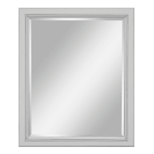 Riley 30" W x 36" H Transitional Rectangular Wood Framed Bathroom Wall Mirror