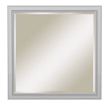 Riley 36" W x 36" H Transitional Rectangular Wood Framed Bathroom Wall Mirror